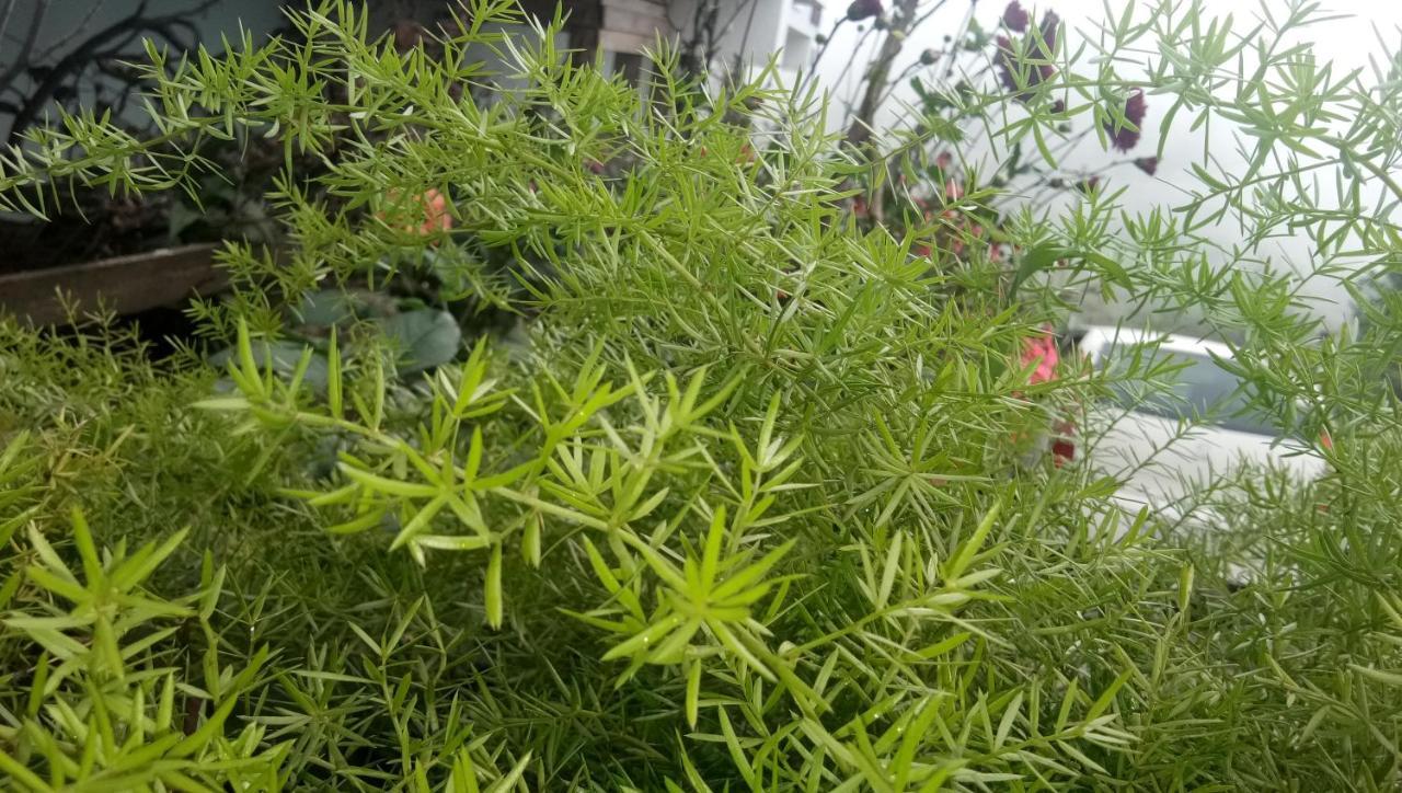 Ezhil Residency Hotel Kodaikanal Eksteriør billede
